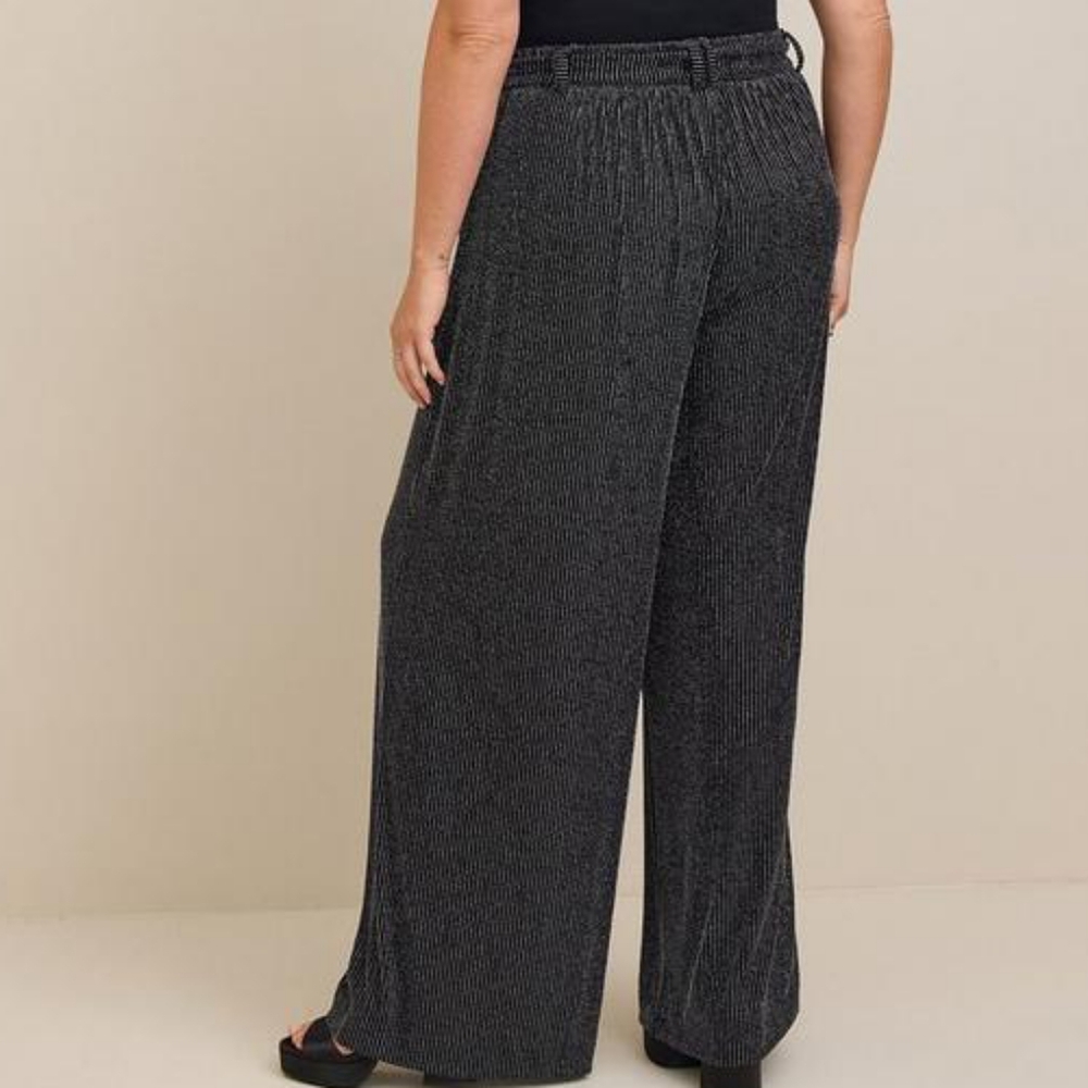 Flat Front Glitter Stripe Wide Leg Belted Pants⛓️ - Picture 4 of 9